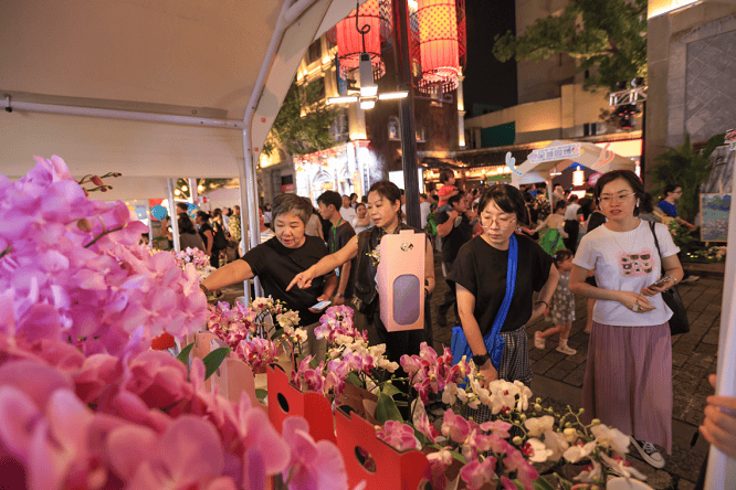 全城园博<strong></p>
<p>trx价格</strong>！一场全民参与的绿色盛宴来了