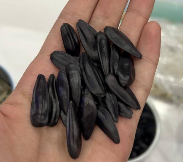 紫色向日葵、多彩胡萝卜、双色火龙果亮相青岛<strong></p>
<p>trx价格</strong>，种子盛会变身“未来食物实验室”