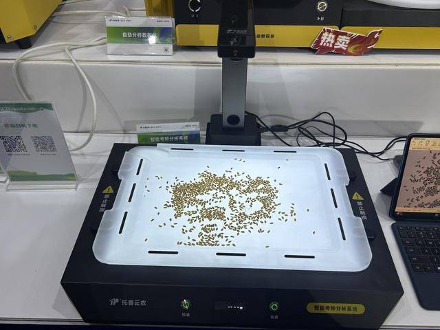 紫色向日葵、多彩胡萝卜、双色火龙果亮相青岛<strong></p>
<p>trx价格</strong>，种子盛会变身“未来食物实验室”