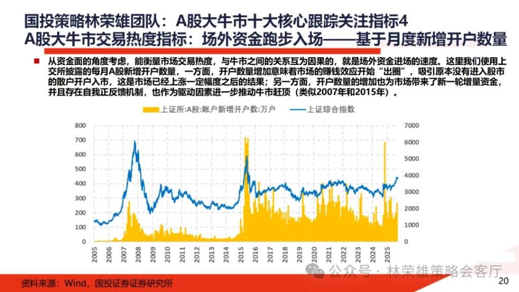 A股大牛市：一份全面的体检报告