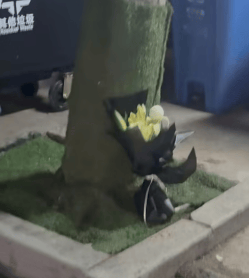 痛心！遇难女孩是大一新生<strong></p>
<p>TRX币</strong>，当天过18岁生日；警方通报“华南理工大学车祸致1死1伤”