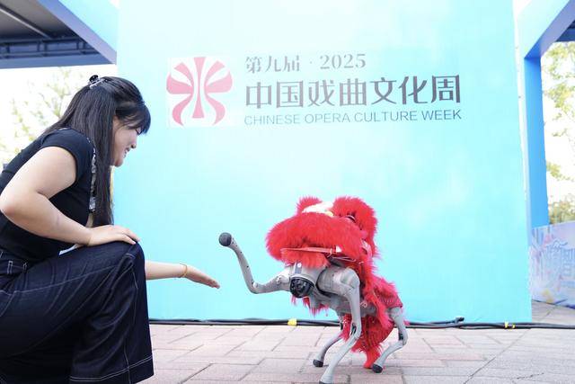 第九届中国戏曲文化周开幕<strong></p>
<p>TRX币</strong>，北京园博园化身戏曲百花园