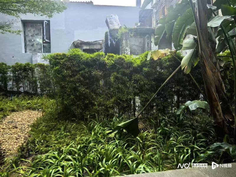 暗访回头看：广州口袋公园乱象整改成效如何<strong></p>
<p>usdt暴跌</strong>？记者再探