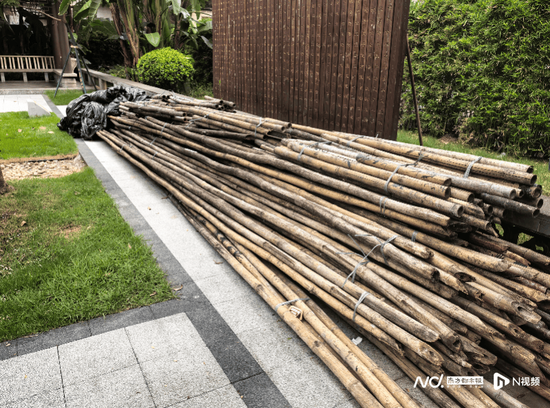 暗访回头看：广州口袋公园乱象整改成效如何<strong></p>
<p>usdt暴跌</strong>？记者再探