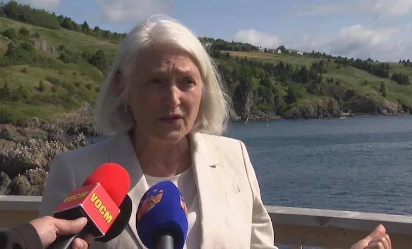 宁愿全部安乐死<strong></p>
<p>usdt钱包</strong>，也不给中国？加拿大养不起30头白鲸，中国愿接手，然而...