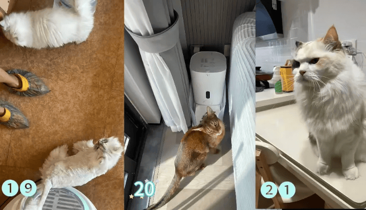 这个需求激增！一男子连接270单<strong></p>
<p>usdt钱包</strong>，其中一笔收费8100元