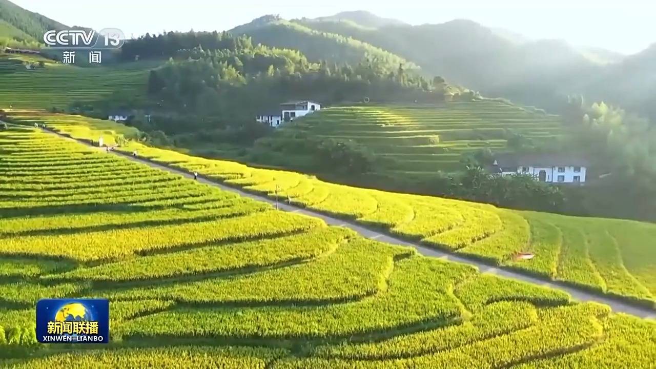 新思想引领新征程丨绘就乡村全面振兴壮美画卷