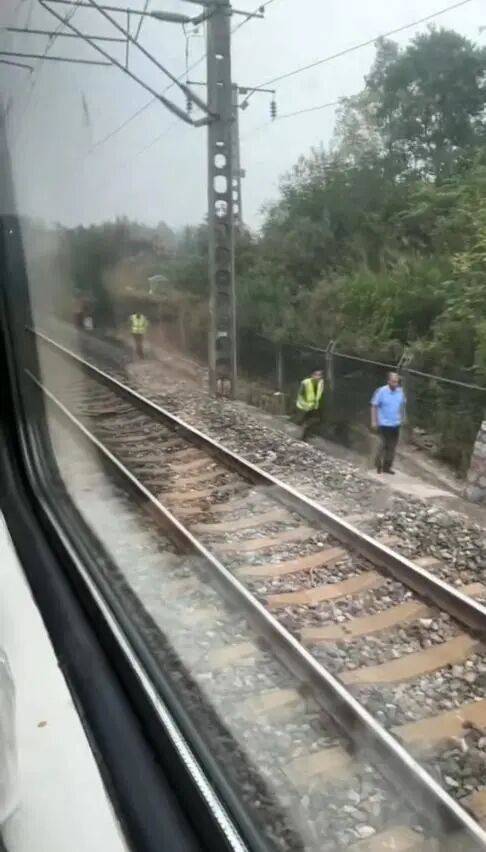 湖北一列车撞上野猪致停运<strong></p>
<p>usdt货币</strong>，铁路局：野猪已无害化处理，列车正常运行；附近曾发生多起野猪伤人事件