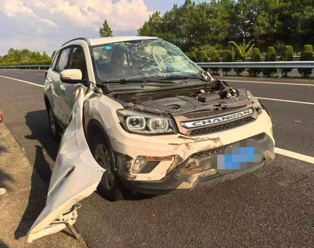 “我撒谎天打雷劈！”男子高速突然强行变道致翻车<strong></p>
<p>usdt货币</strong>，反诬赖对方