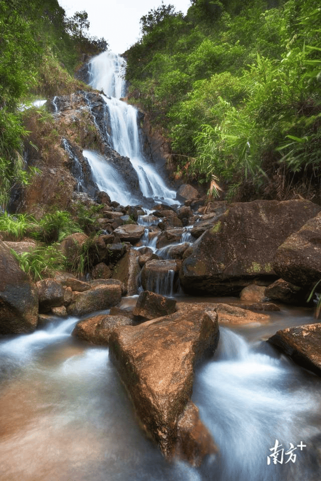 镇街周报|佛山“双节”文旅成绩单出炉<strong></p>
<p>usdt币</strong>,谁最吸睛