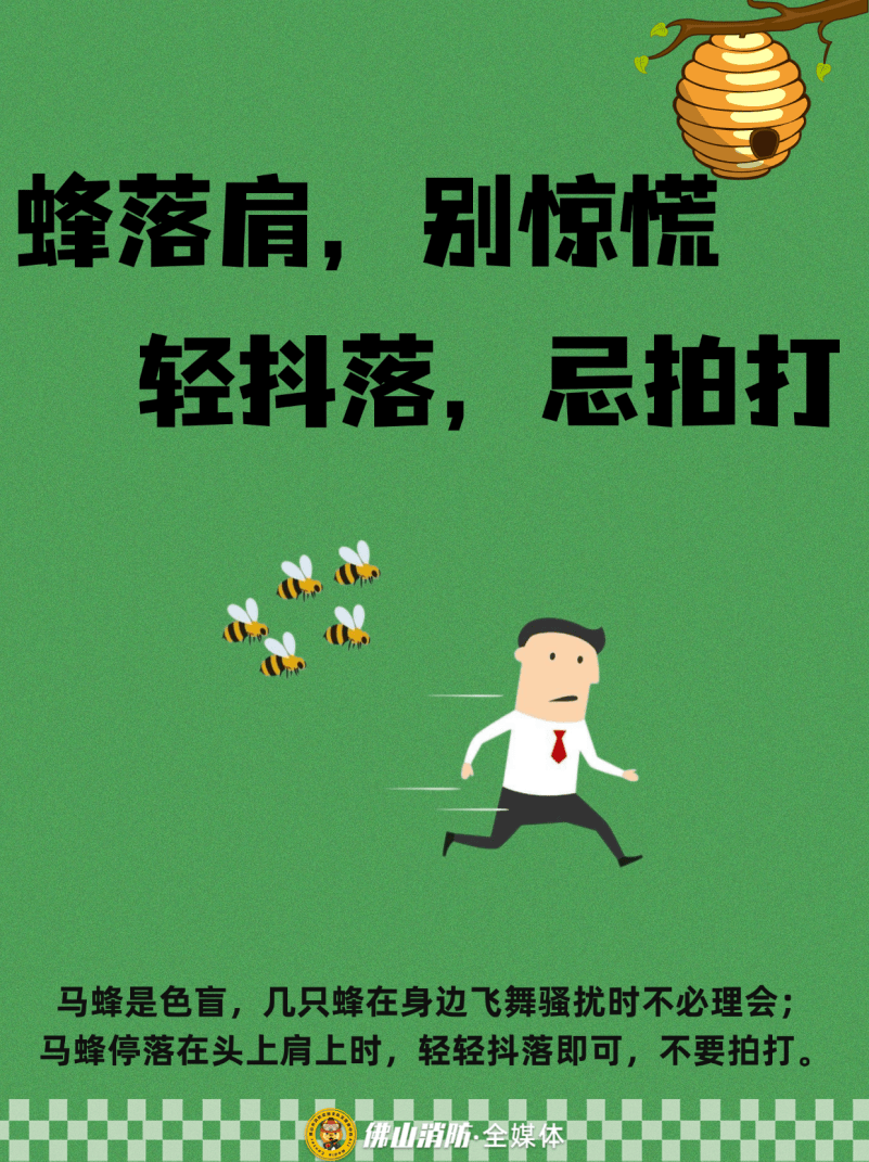 深圳一市民突遭马蜂围袭！已进入高发期<strong></p>
<p>usdt币</strong>，千万别招惹！