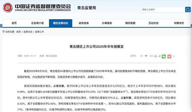 3323亿营收、1065亿海外收入！青岛上市公司的进击之路