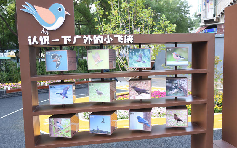 西城区广外街道：“断头路”变身口袋公园<strong></p>
<p>usdt今日价格</strong>，装满民生“微幸福”