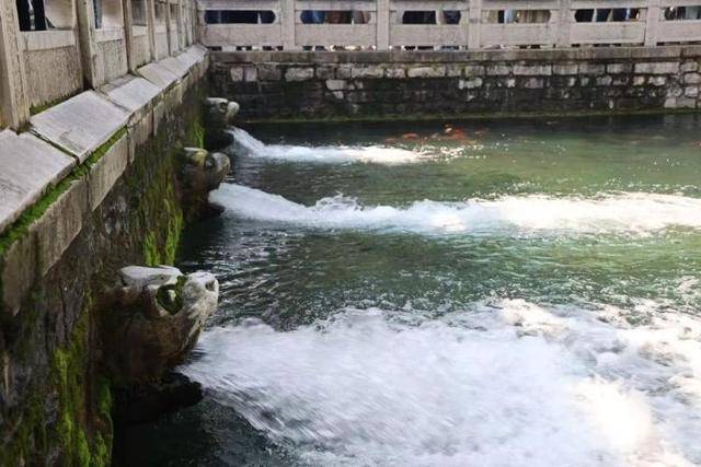 黑虎泉喷得“兽头”都不够用了！济南群泉竞涌<strong></p>
<p>usdt今日价格</strong>，几十年一见