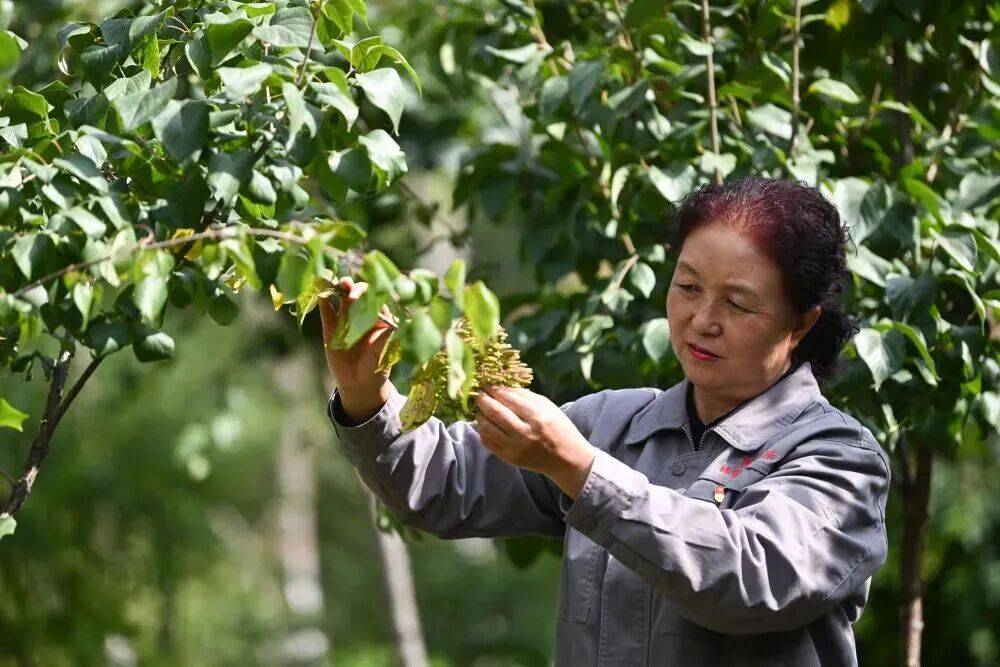 镜观·回响丨巾帼共绘新时代