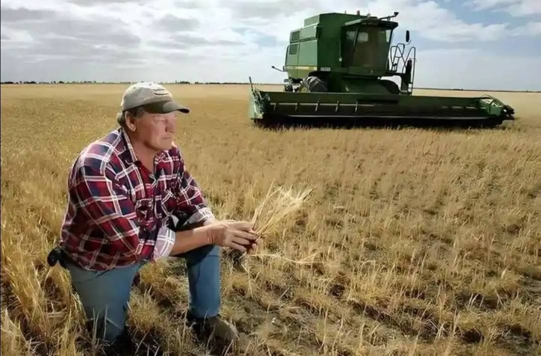 稀土卡脖子<strong></p>
<p>usdt价格</strong>,美方军工企业停摆!美财长喊话:开出取消关税的条件,美农户输惨了