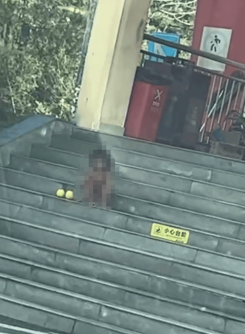 四川一高速上有家庭带着“野人小孩”？多方回应：正常家庭<strong></p>
<p>usdt价格</strong>，山里长大的，已做工作