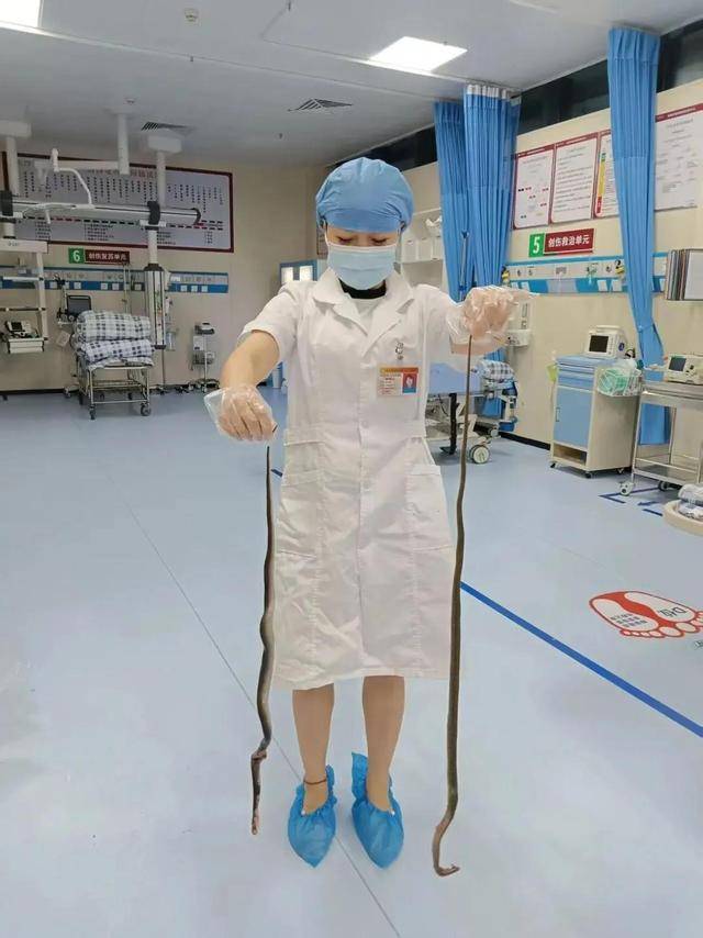 广东62岁阿叔网鱼网到2条眼镜蛇<strong></p>
<p>usdt价格</strong>，被咬伤后当场打死，并打包提进医院