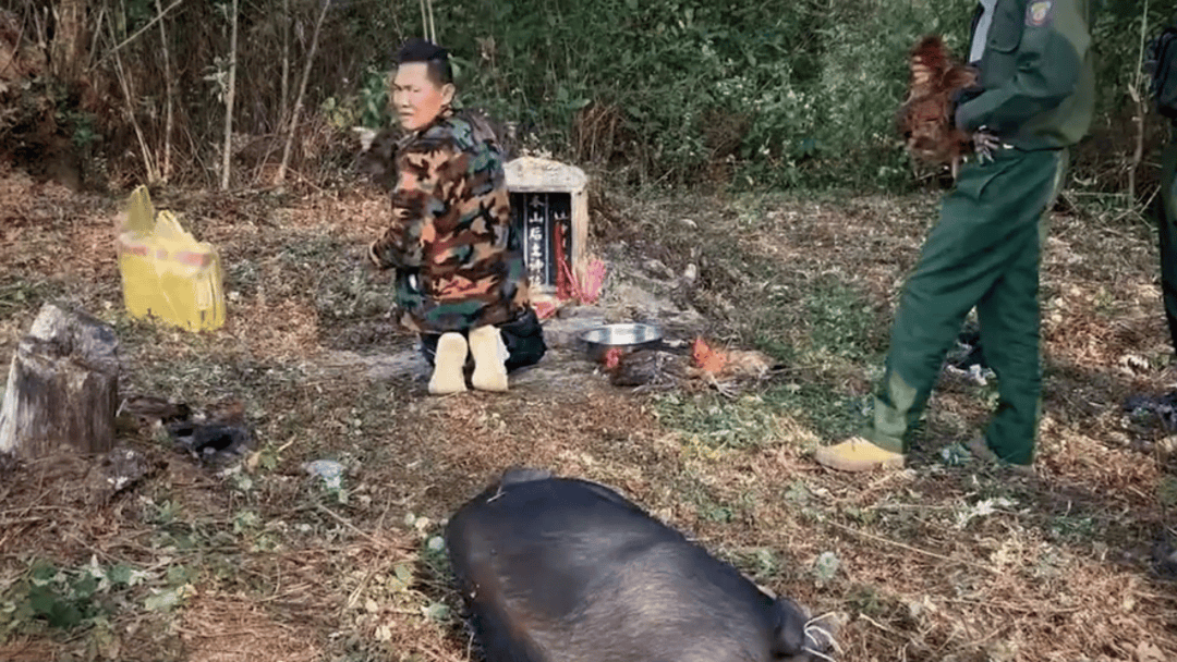 公安机关侦破缅北果敢徐老发犯罪集团专案<strong></p>
<p>usdt官网</strong>，详情披露！