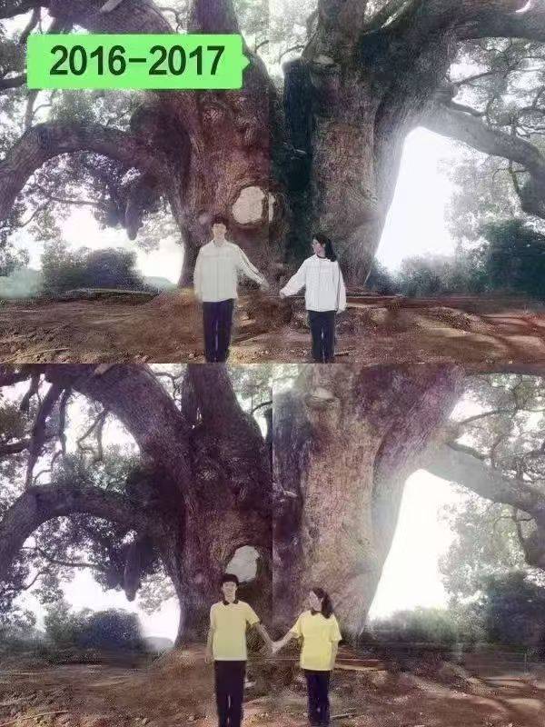 岳阳情侣连续9年在家乡千年古樟树下合影<strong></p>
<p>usdt官网</strong>，今年国庆终修正果：希望爱情像古树一样长久