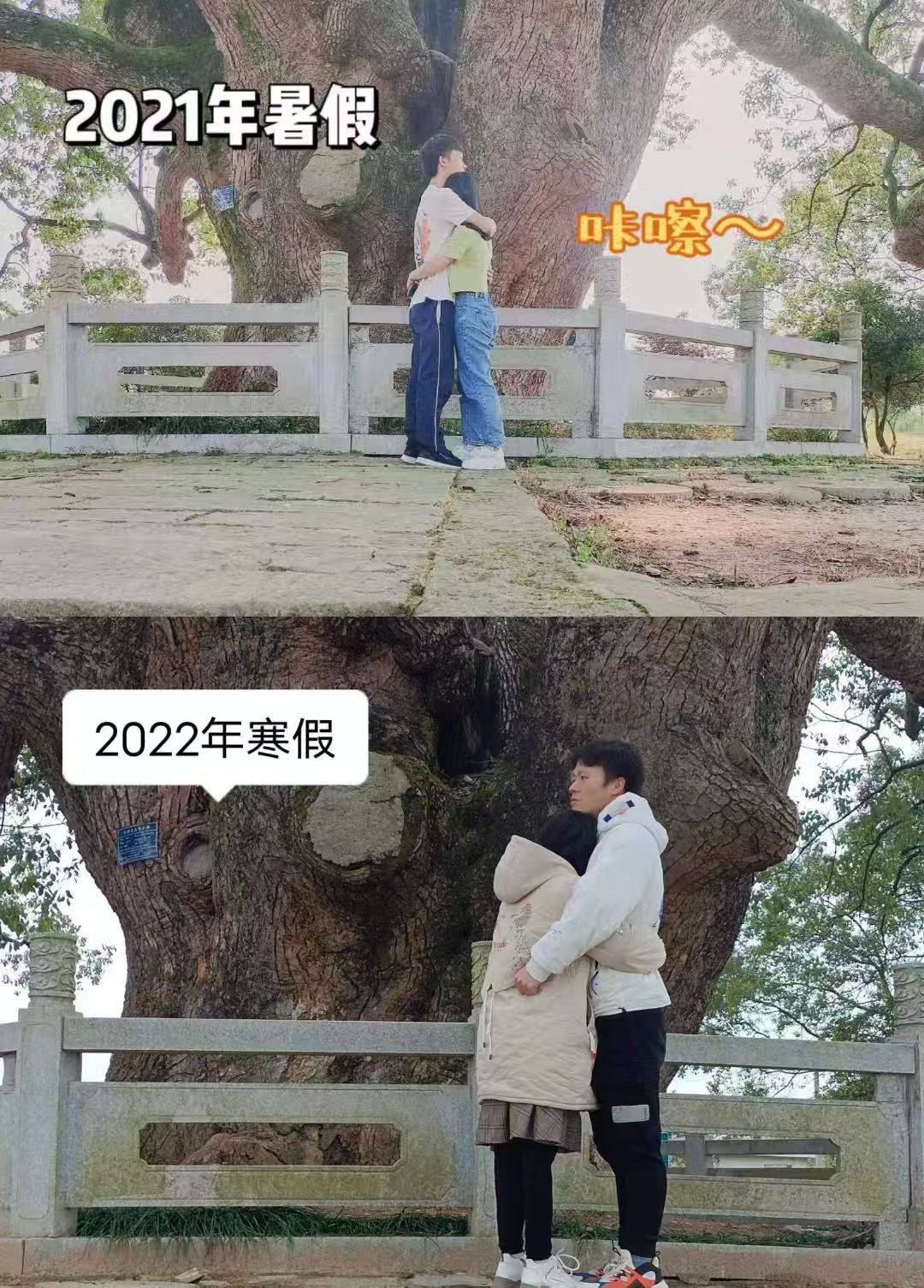 岳阳情侣连续9年在家乡千年古樟树下合影<strong></p>
<p>usdt官网</strong>，今年国庆终修正果：希望爱情像古树一样长久