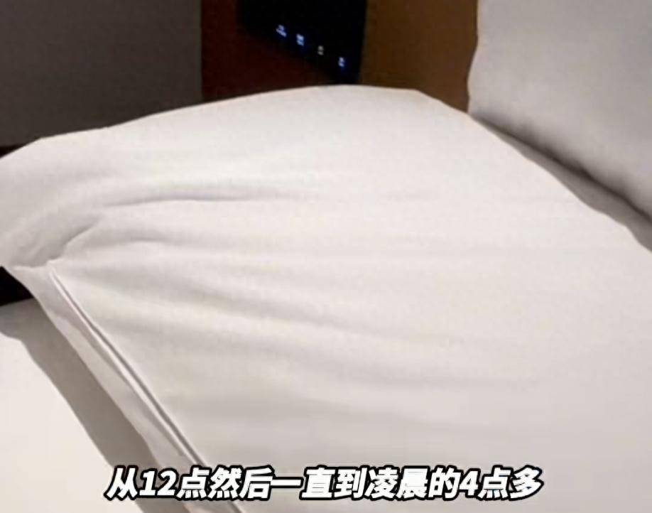 “连换5间房，每间床上都有活虫！”上海新开高档酒店回应