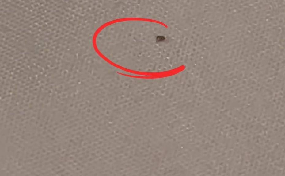 “连换5间房<strong></p>
<p>usdt官网</strong>，每间床上都有活虫！”上海新开高档酒店回应