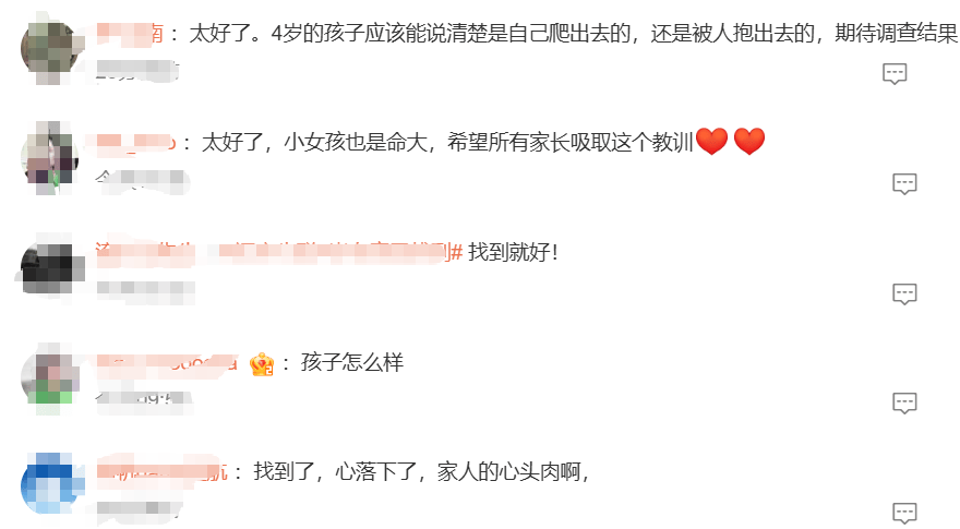 4岁孩子车内离奇失踪<strong></p>
<p>usdt官网</strong>，警方累计组织12000余人次救援！找到了！