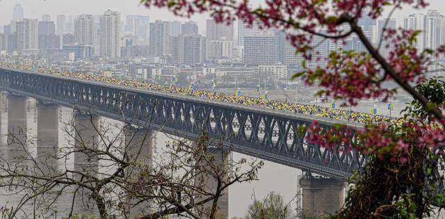 今天是她68岁生日<strong></p>
<p>usdt官网</strong>，武汉人：不准退休！