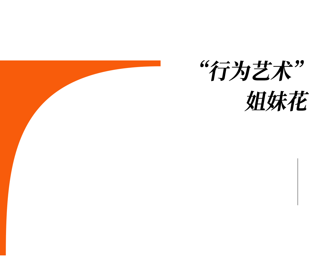 爱马仕当“头饰”<strong></p>
<p>usdt官网</strong>，香奈儿挂满身，这对“神秘姐妹”是谁？