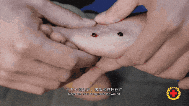 女子半夜上厕所<strong></p>
<p>徐家汇股票</strong>，马桶里突然窜出一条蛇！