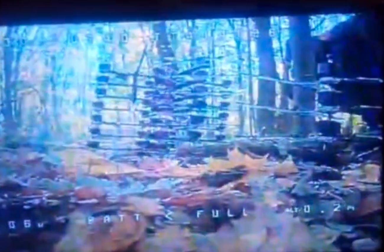 1万朝鲜特种兵凭空消失?苏梅全线告急<strong></p>
<p>徐家汇股票</strong>,乌克兰截获绝密前线情报