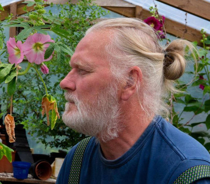 两只雌蚊和一只雄蚊被发现<strong></p>
<p>海能达股票</strong>，全球最后一个无蚊国冰岛“沦陷”