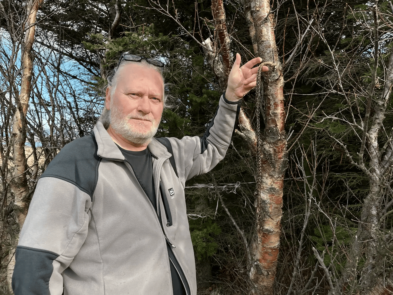 “无蚊国”失守：冰岛境内首次发现蚊子