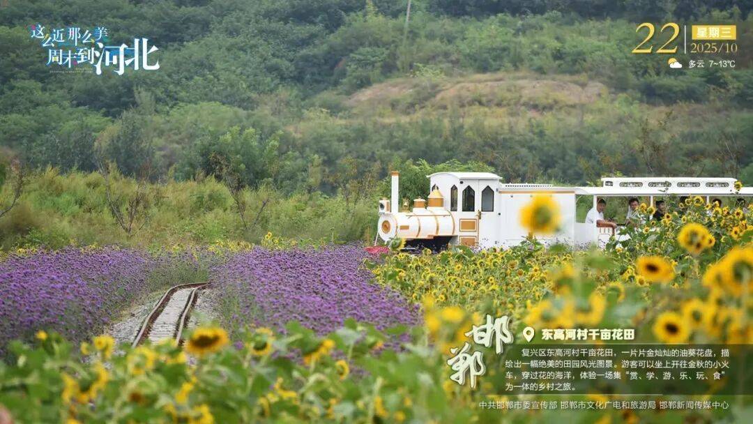 “人工智能+”行动<strong></p>
<p>海能达股票</strong>！河北最新发布