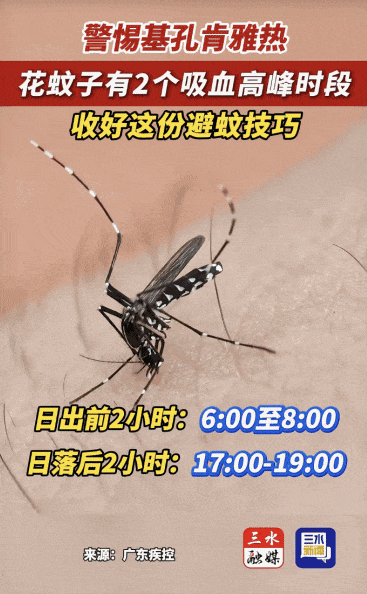 涉学校、公园、城中村！深圳官方最新公布“黑窝点”