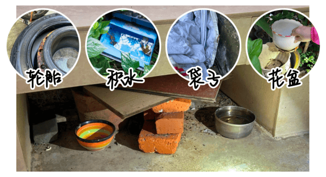 涉学校、公园、城中村<strong></p>
<p>海能达股票</strong>！深圳官方最新公布“黑窝点”