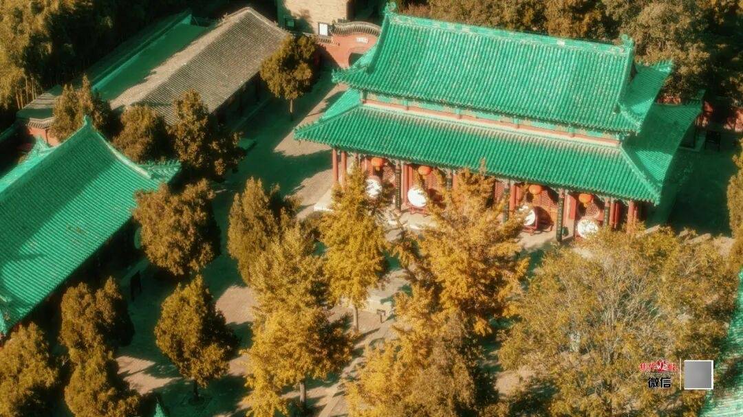 银杏金黄<strong></p>
<p>东方国信股票</strong>！铺满焦作的秋天！