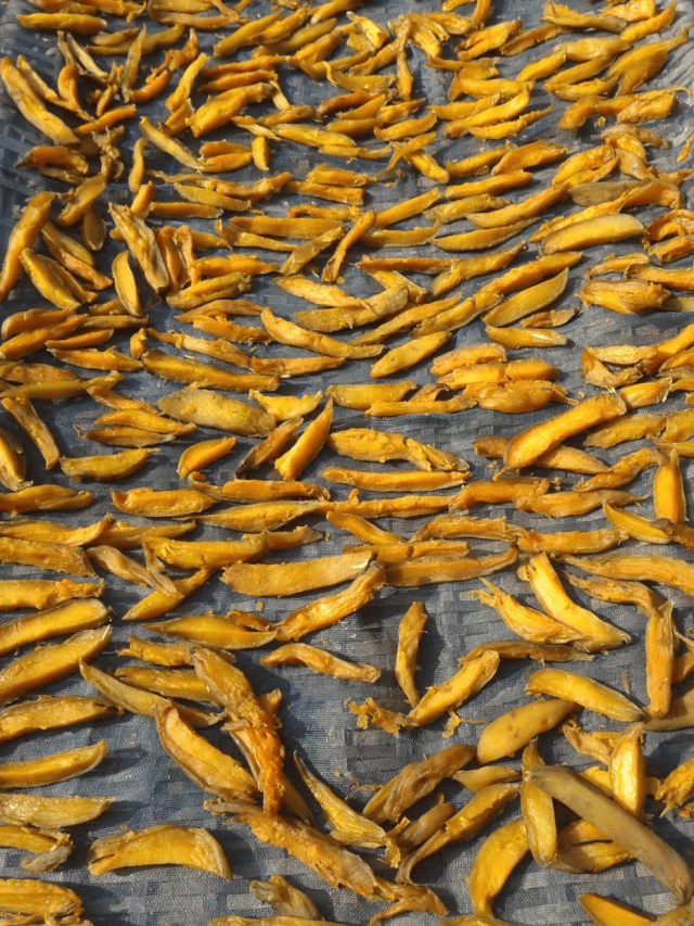 霜降至<strong></p>
<p>东方国信股票</strong>，气温会有反转吗？