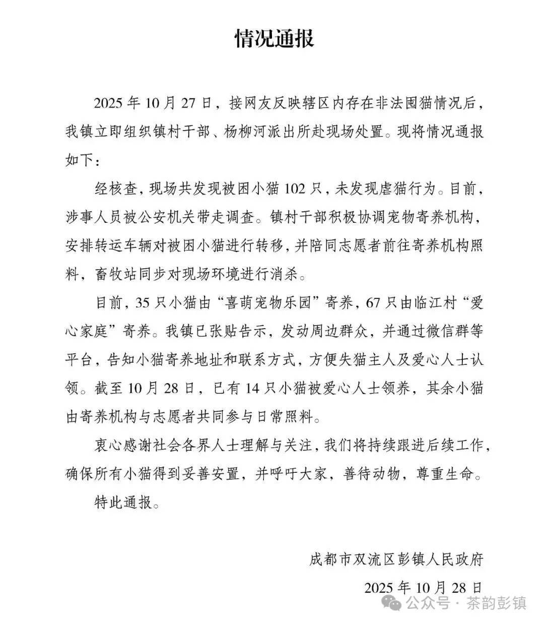 “成都一空置房非法囤猫”？官方通报：共发现被困小猫102只<strong></p>
<p>光大证券股票</strong>，未发现虐猫行为
