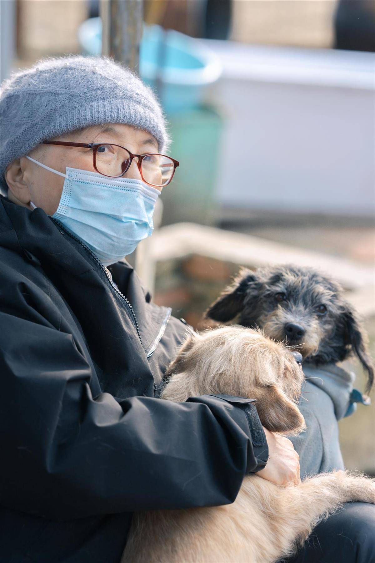 合肥卖房救助流浪狗的魏阿姨离世<strong></p>
<p>众生药业股票</strong>，病中仍然惦记着基地的600只流浪狗，工人：不敢相信世上还有这样执着的人