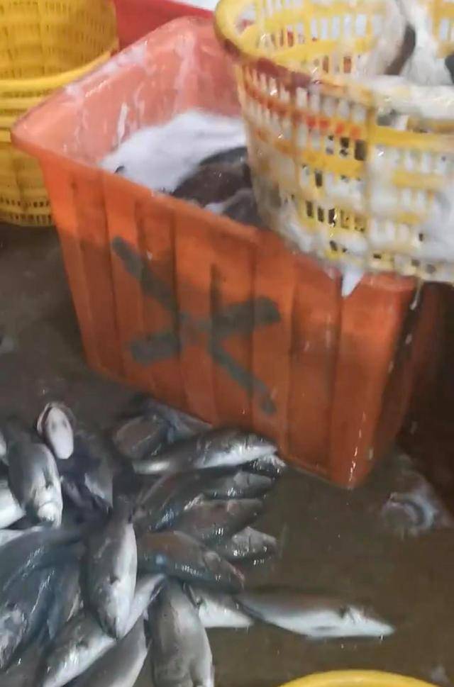 水产市场“麻醉鱼”调查：有商家称麻药有味会换水再卖<strong></p>
<p>国际医学股票</strong>，有无危害尚不明