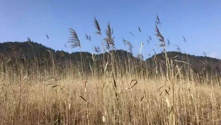 禁止任何形式穿越<strong></p>
<p>国际医学股票</strong>！杭州一地发布最严禁令