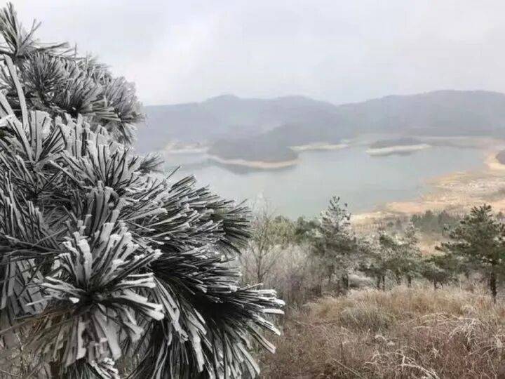 禁止任何形式穿越<strong></p>
<p>国际医学股票</strong>！杭州一地发布最严禁令