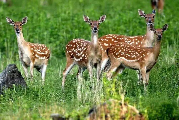 禁止任何形式穿越<strong></p>
<p>国际医学股票</strong>！杭州一地发布最严禁令