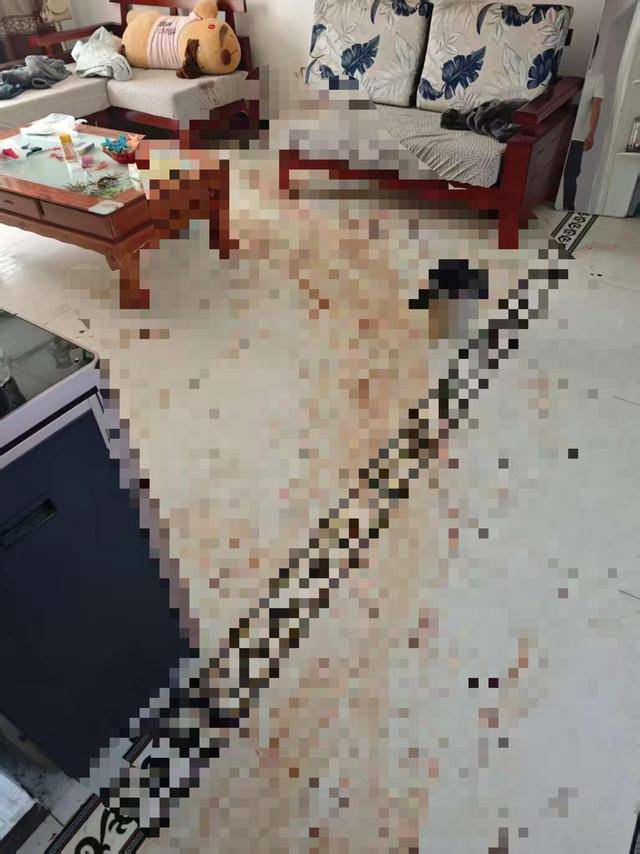 “女子出租屋遭男友持刀杀害”案明日开庭<strong></p>
<p>通化金马股票</strong>，家属发声：凶手从未道歉，我们不会谅解