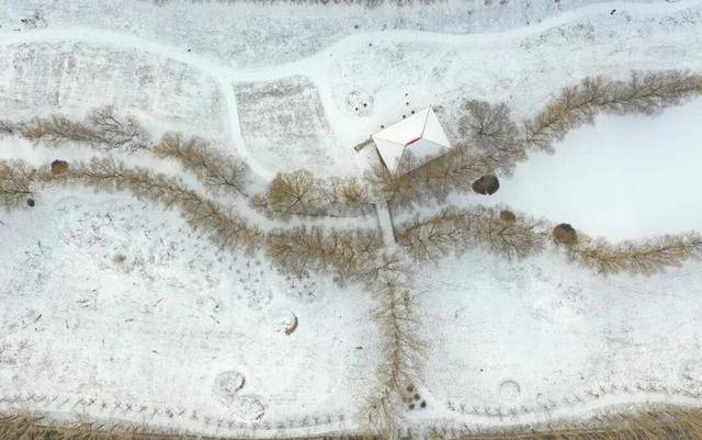 百年难遇“早立冬”来了<strong></p>
<p>通化金马股票</strong>！有啥讲究？早看早准备！