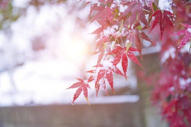 百年难遇“早立冬”来了<strong></p>
<p>通化金马股票</strong>！有啥讲究？早看早准备！