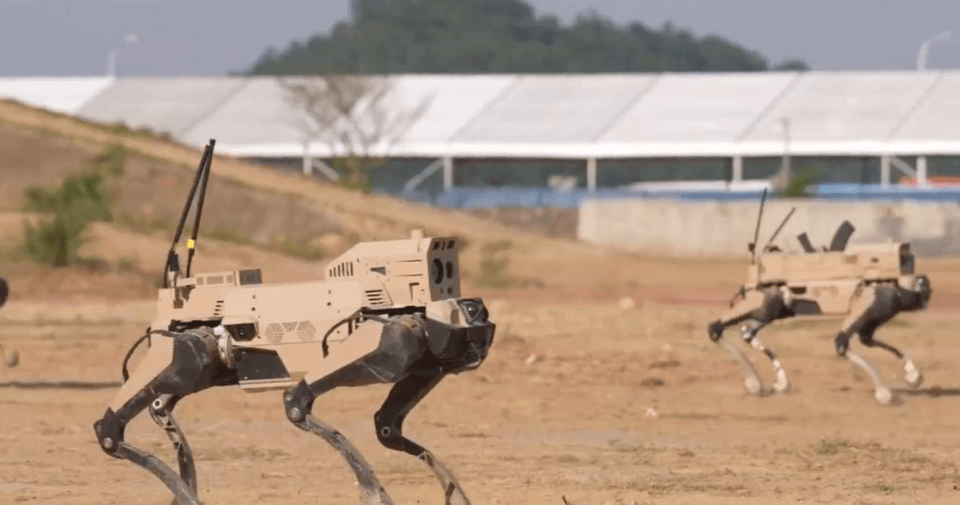 解放军“机器狼”投入台海<strong></p>
<p>燕京啤酒股票</strong>，集群抢滩动作丝滑