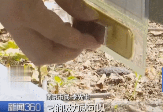 不是慢镜头！福建舰电磁弹射速度那么快<strong></p>
<p>沃森生物股票</strong>，是怎么瞬间刹车的？